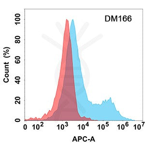 Anti-CD37 antibody(DM166), Rabbit mAb – Figure 1 of 1