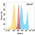 Anti-EPHA2 antibody(DM167), Rabbit mAb – Figure 1 of 1