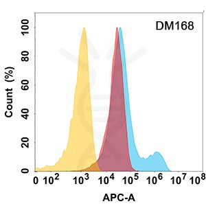 Anti-MICB antibody(DM168), Rabbit mAb – Figure 1 of 1