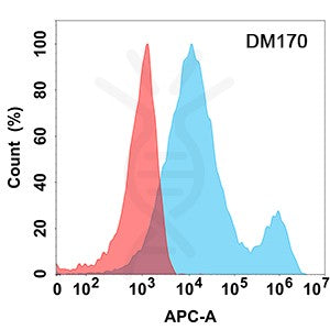 Anti-LIGHT antibody(DM170), Rabbit mAb – Figure 1 of 1