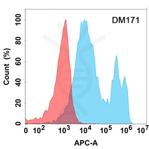 Anti-CA9 antibody(DM171), Rabbit mAb – Figure 1 of 1