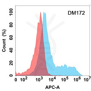 Anti-CD114 antibody(DM172), Rabbit mAb – Figure 1 of 1