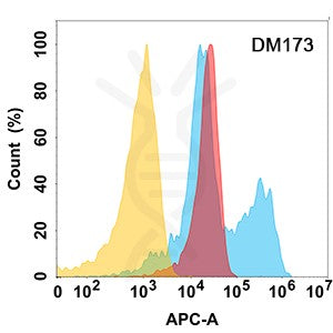 Anti-B7-H6 antibody(DM173), Rabbit mAb – Figure 1 of 1