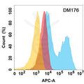 Anti-CD10 antibody(DM176), Rabbit mAb – Figure 1 of 1