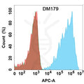 Anti-CLDN18.2 antibody(DM179), Rabbit mAb – Figure 1 of 1
