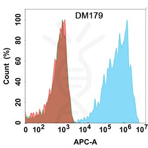 Anti-CLDN18.2 antibody(DM179), Rabbit mAb – Figure 1 of 1
