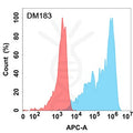 Anti-IL13RA1 antibody(DM183), Rabbit mAb – Figure 1 of 1