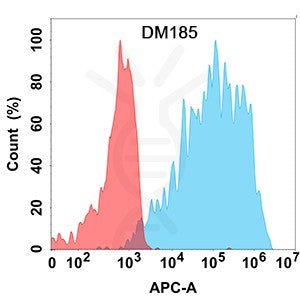 Anti-VEGFR2 antibody(DM185), Rabbit mAb – Figure 1 of 1