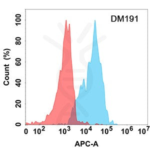 Anti-CD70 antibody(DM191), Rabbit mAb – Figure 1 of 1
