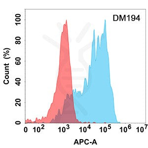 Anti-SCF antibody(DM194), Rabbit mAb – Figure 1 of 1