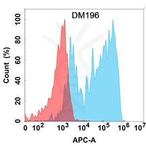 Anti-CCR8 antibody(DM196), Rabbit mAb – Figure 1 of 1