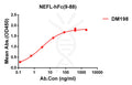 Anti-NEFL(9-88) antibody(DM198), Rabbit mAb – Figure 1 of 1