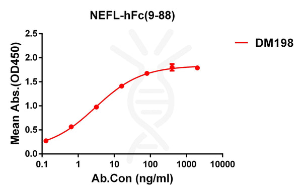 Anti-NEFL(9-88) antibody(DM198), Rabbit mAb – Figure 1 of 1