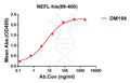 Anti-NEFL(89-400) antibody(DM199), Rabbit mAb – Figure 1 of 1