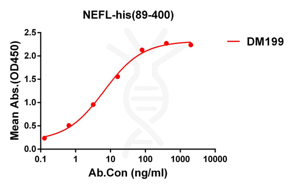 Anti-NEFL(89-400) antibody(DM199), Rabbit mAb – Figure 1 of 1