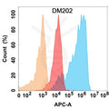 Anti-CD56 antibody(DM202), Rabbit mAb – Figure 1 of 1