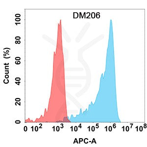 Anti-IL15RA antibody(DM206), Rabbit mAb – Figure 1 of 1