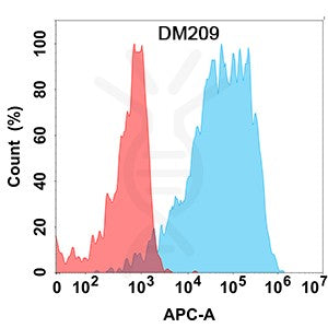 Anti-NRG1 antibody(DM209), Rabbit mAb – Figure 1 of 1