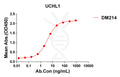 Anti-UCHL1 antibody(DM214), Rabbit mAb – Figure 1 of 1