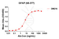 Anti-GFAP(68-377) antibody(DM216), Rabbit mAb – Figure 1 of 1