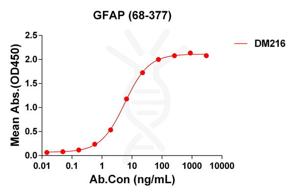 Anti-GFAP(68-377) antibody(DM216), Rabbit mAb – Figure 1 of 1