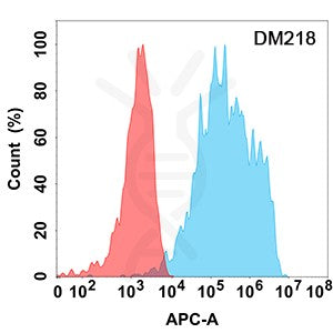 Anti-IL18RA antibody(DM218), Rabbit mAb – Figure 1 of 1