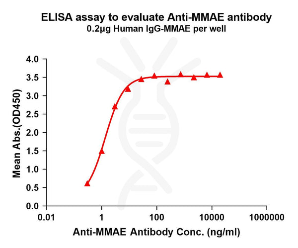 Anti-MMAE antibody(8C4), Rabbit mAb – Figure 1 of 1