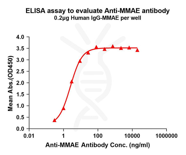 Anti-MMAE antibody(11B2), Rabbit mAb – Figure 1 of 1