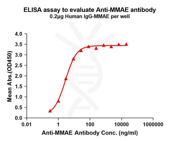 Anti-MMAE antibody(11C8), Rabbit mAb – Figure 1 of 1