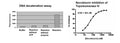 DNA Topoisomerase DNA Decatenation Assay Kit – Figure 1 of 1