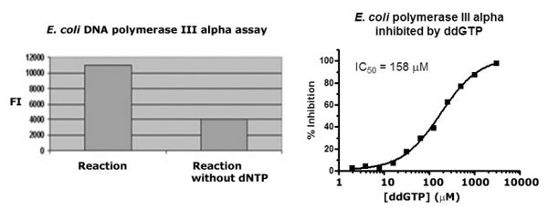 DNA Polymerase Assay Kit – Figure 1 of 1
