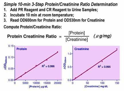 QuantiChrom™ Protein Creatinine Ratio Assay Kit
