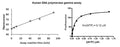 Human DNA Polymerase Gamma Assay Kit – Figure 1 of 1