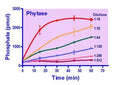 QuantiChrom™ Phytase Assay Kit