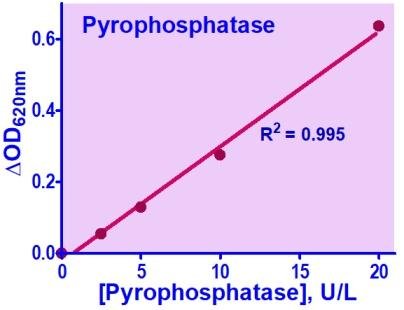QuantiChrom™ Pyrophosphatase Assay Kit