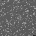 DSL-6A-C1 cell