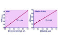 QuantiChrom™ HRP Detection Reagent