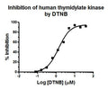 Human Thymidylate Kinase Assay Kit Plus – Figure 1 of 1