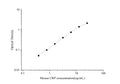 Uncoated Mouse CRP (C-Reactive Protein) ELISA Kit – Figure 1 of 4