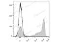 APC Anti-Mouse Ly-6G/Ly-6C (Gr-1) Antibody[RB6-8C5] – Figure 1 of 2