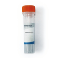 Anti-CTLA-4(tremelimumab biosimilar) mAb