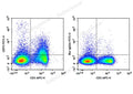 FITC Anti-Mouse CD73 Antibody[TY/23] – Figure 1 of 2