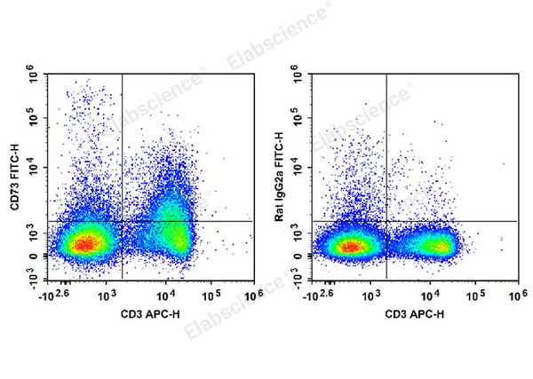 FITC Anti-Mouse CD73 Antibody[TY/23] – Figure 1 of 2
