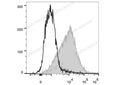 PE/Cyanine7 Anti-Mouse CD54 Antibody[YN1/1.7.4] – Figure 1 of 2