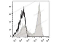 APC Anti-Mouse CD90.2/Thy1.2 Antibody[30H12] – Figure 1 of 2