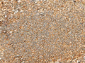 GNGT2 Polyclonal Antibody – Figure 1 of 2