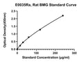 Rat ?2-Microglobulin, BMG/?2-MG ELISA Kit