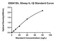 Sheep Interleukin 1Beta, IL-1B ELISA Kit