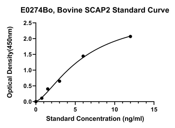 Bovine Src Kinase Associated Phosphoprotein 2, SCAP2 ELISA Kit