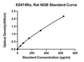 Rat Neuroglobin, NGB ELISA Kit
